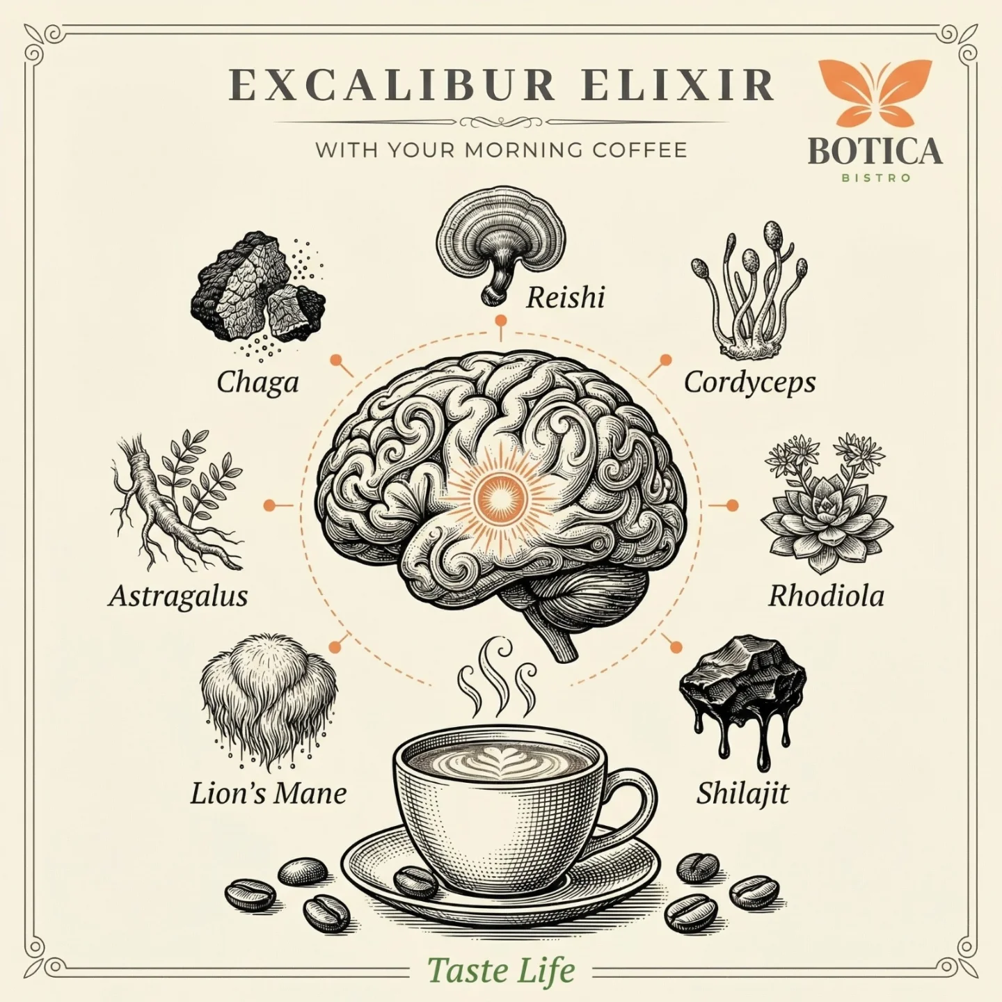 Excalibur Elixir — organic blend of 7 adaptogens by Botica Labs